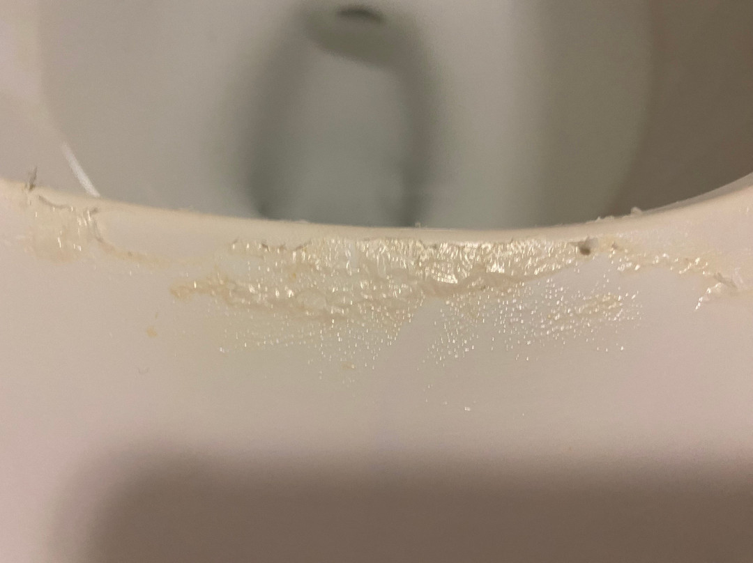 纳努特希尔顿花园酒店主图