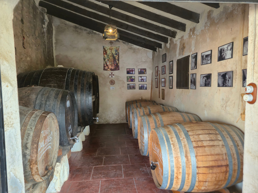 Bodegas Faelo-埃尔切必去景点