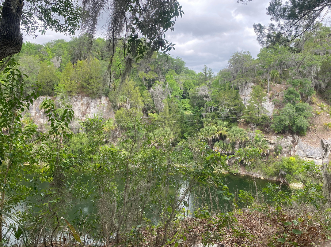 Canyons Zip Line & Canopy Tours-奥卡拉必去景点