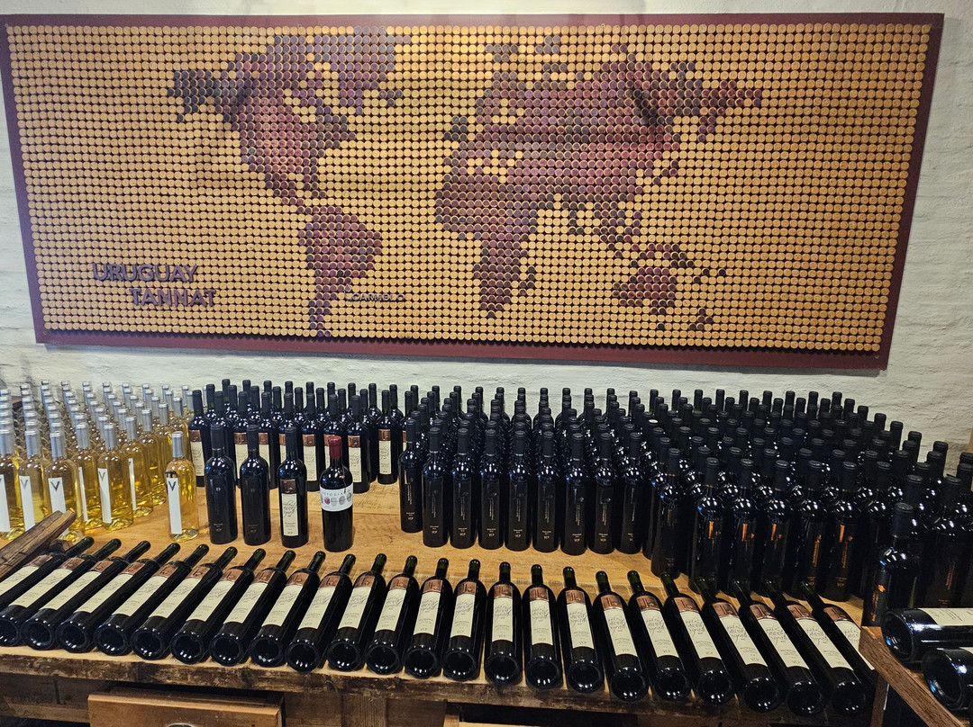 Bodega Boutique El Legado-Carmelo必去景点