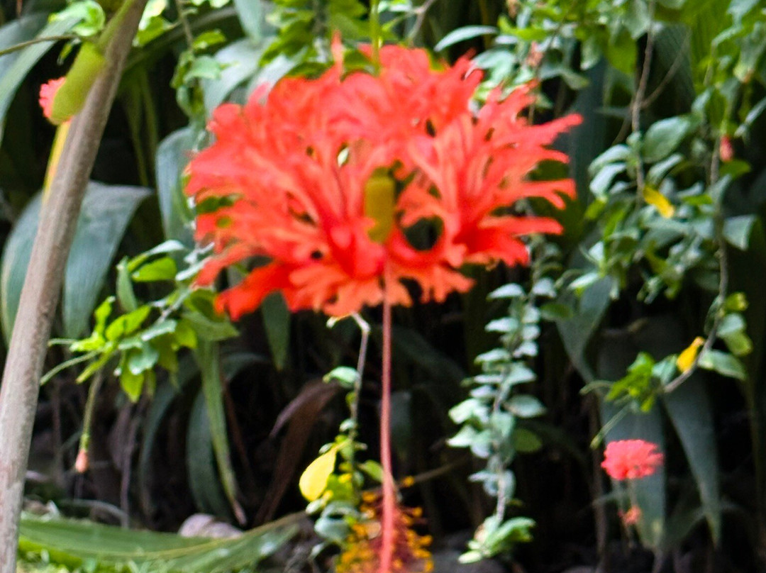Cap Lazare Nature Reserve-贝拉扎尔区必去景点
