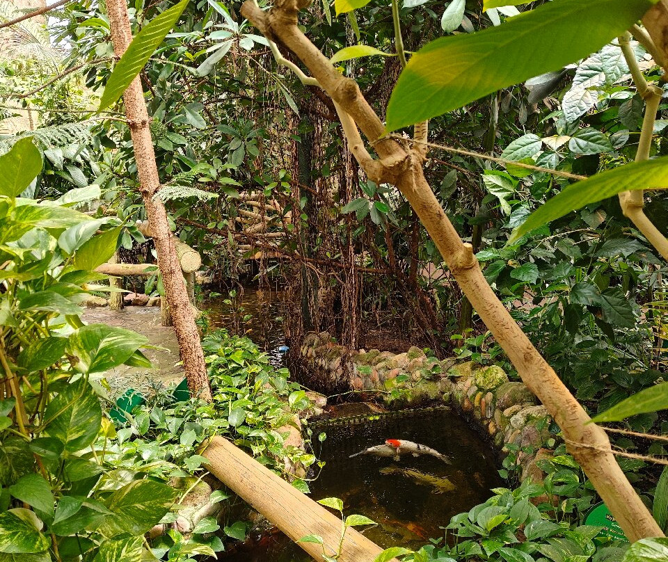 Limpopo Zoo-下诺夫哥罗德必去景点