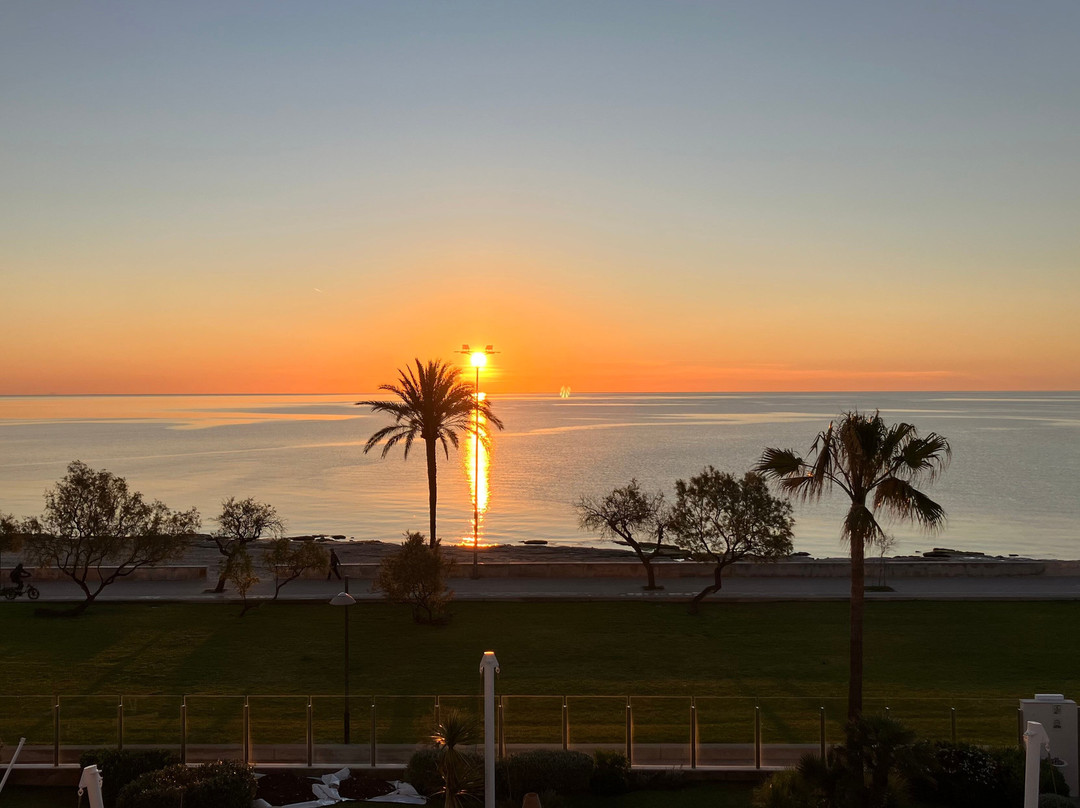 Protur Playa Cala Millor Hotel主图