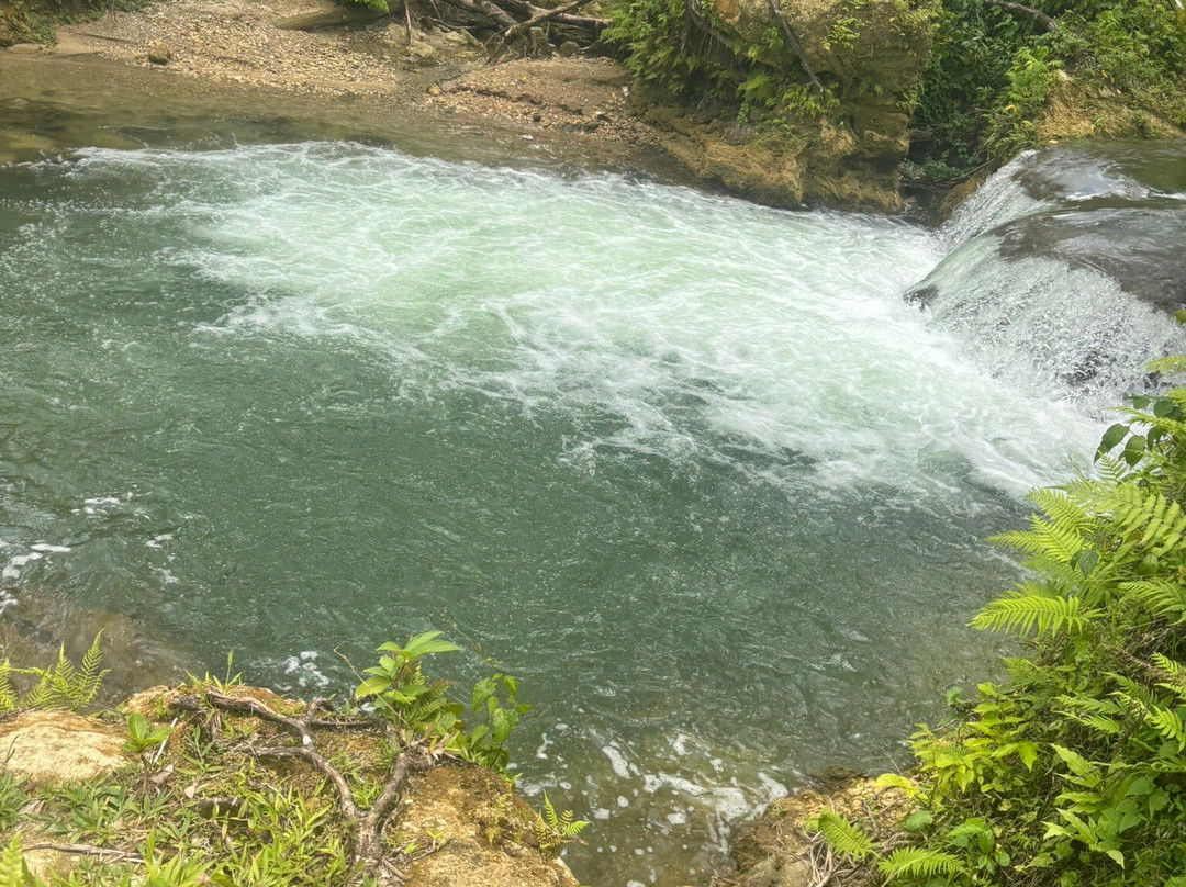 Jammin Jamaica Tours-Lucea必去景点