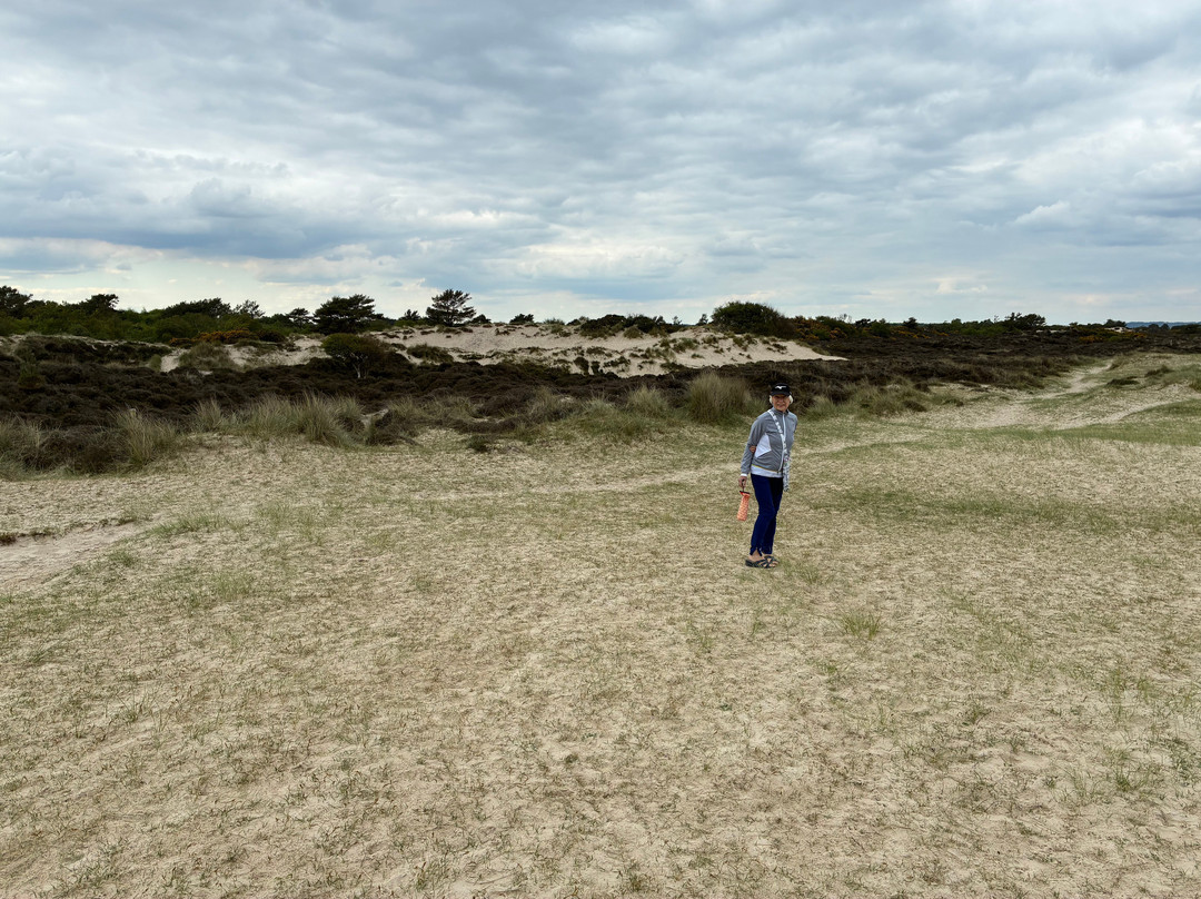 Studland beach and Nature Reserve-Studland必去景点