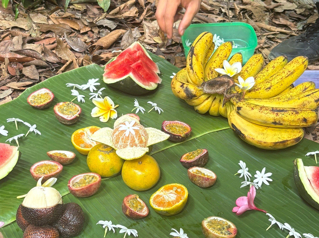 Sumatra Orangutan Explore-武吉拉旺必去景点