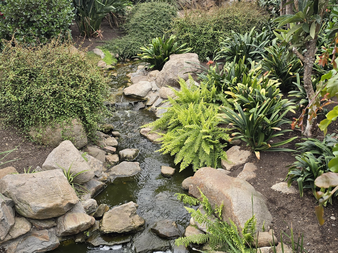 Duthie Park Winter Gardens-阿伯丁必去景点