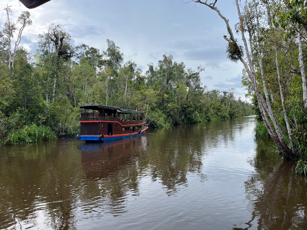 Dolphindo Tour Orangutan Tanjung Puting-Kumai必去景点