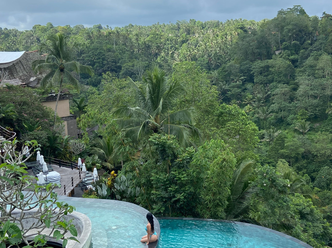 Wanna Jungle Pool and Bar-佩艳艮必去景点