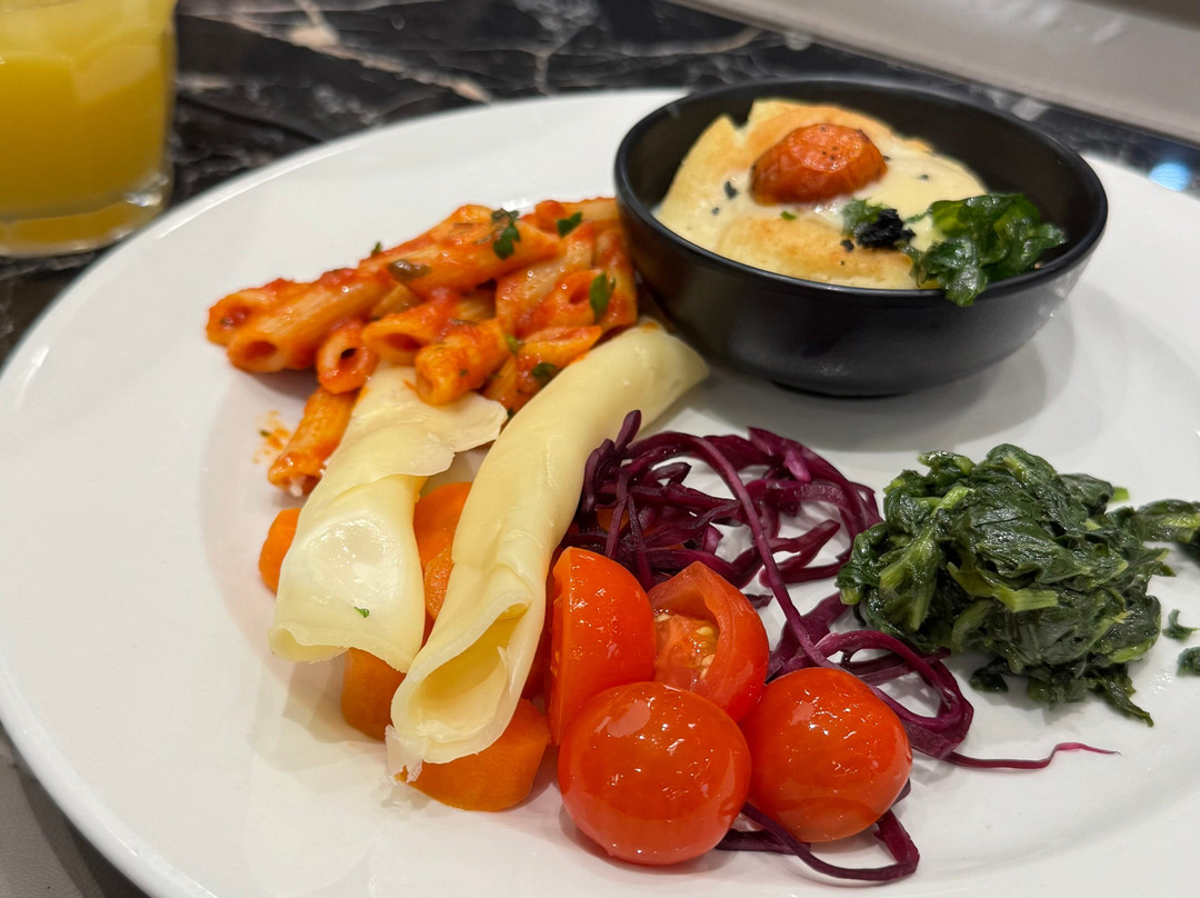 Plaza Premium Lounge (Schengen Area Departures Terminal 1)-菲乌米奇诺必去景点