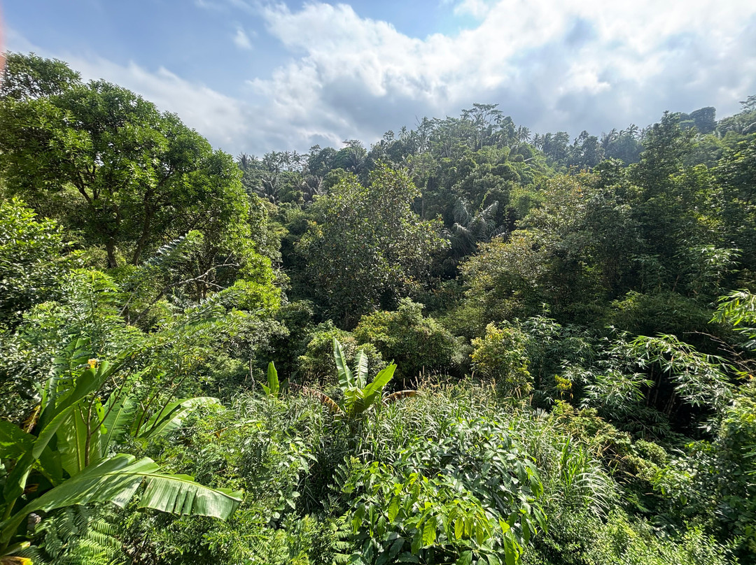 Harsa Sanctuary by GenuineHost