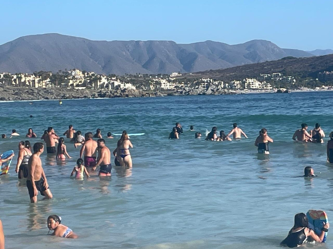 Playa Totoralillo-Coquimbo必去景点