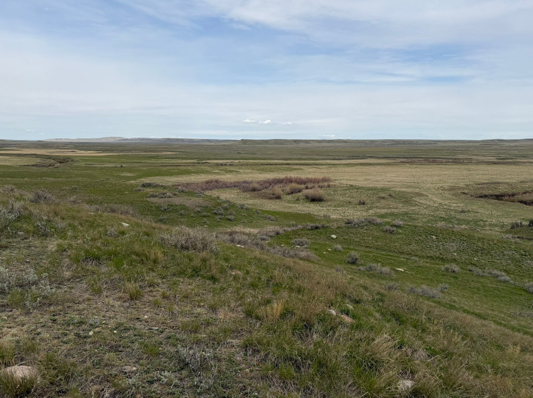Grasslands National Park-萨斯喀彻温省必去景点