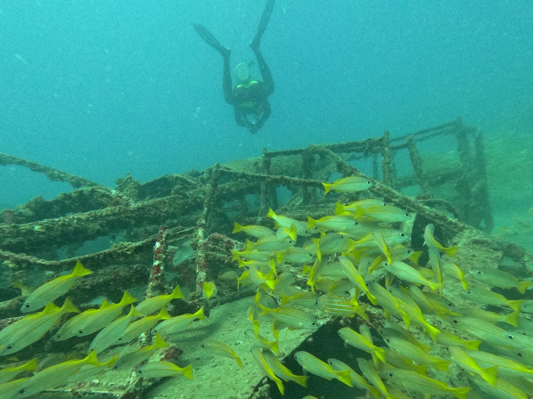 Divers Land Dive Club-Trincomalee必去景点