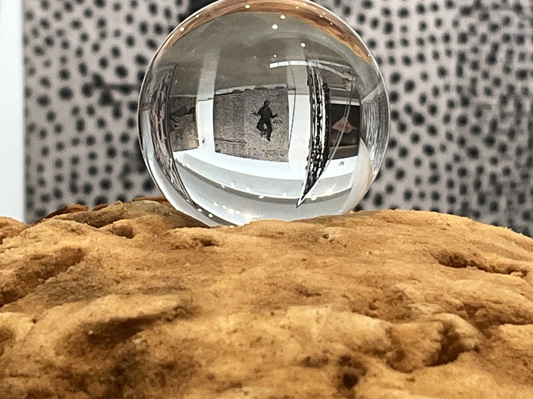 Center for Maine Contemporary Art (CMCA)-罗克兰必去景点