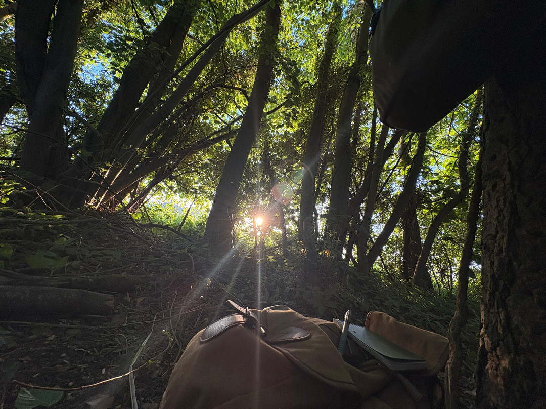 Back to Wilderness-Cowlinge必去景点