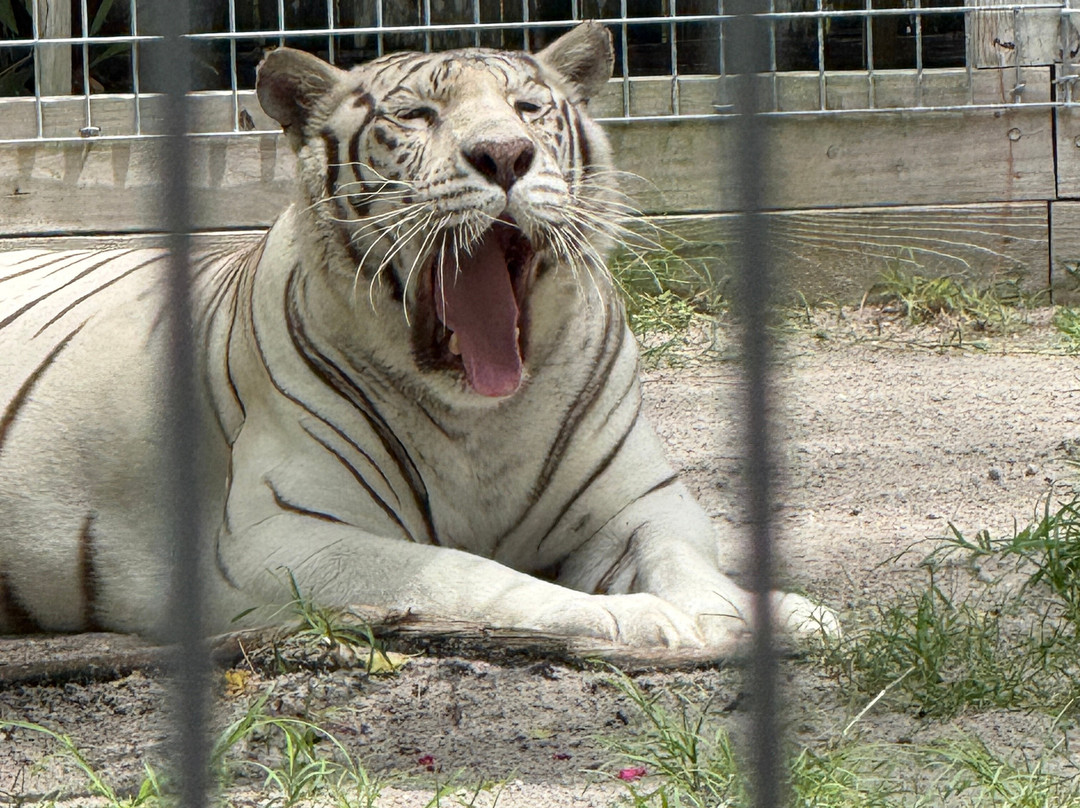 McCarthy's Wildlife Sanctuary-西棕榈滩必去景点
