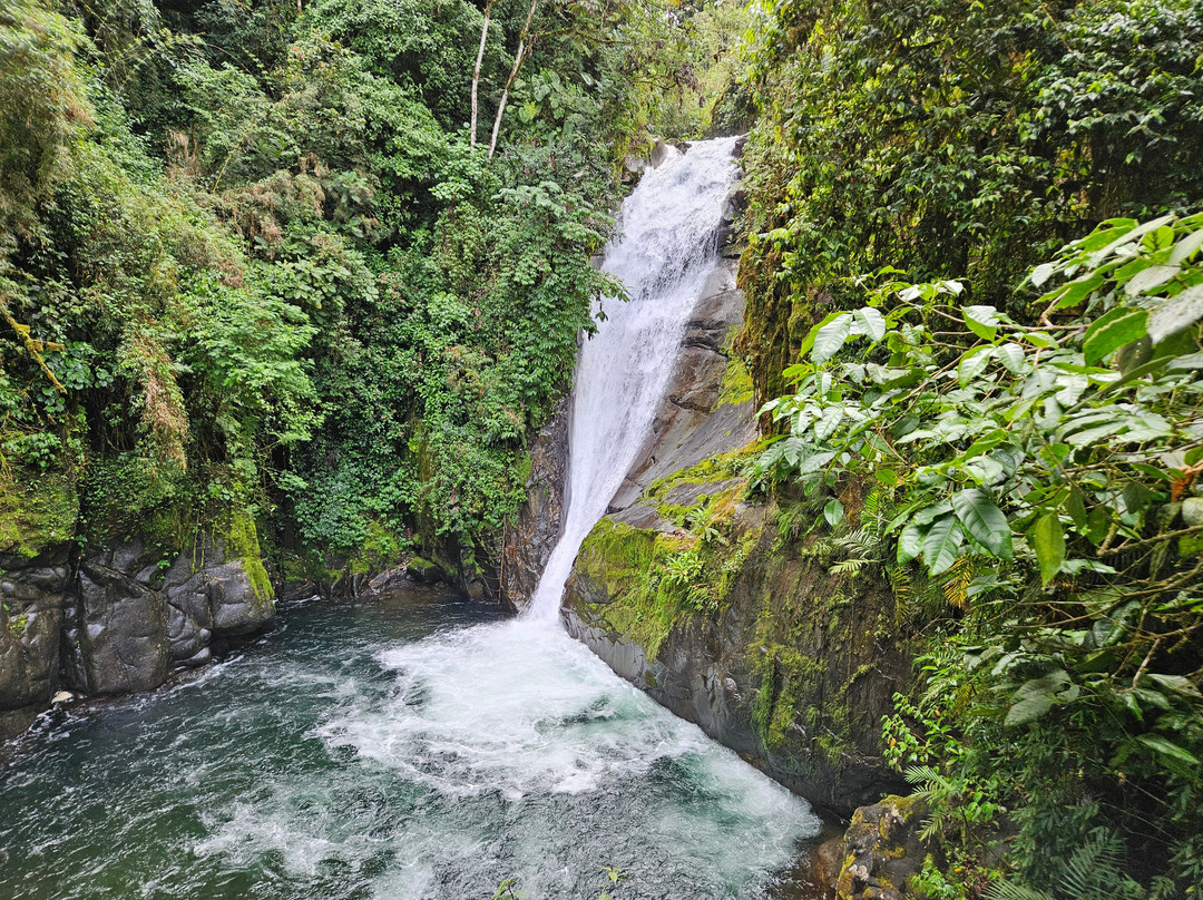 Cloudbridge Nature Reserve-San Gerardo De Rivas必去景点