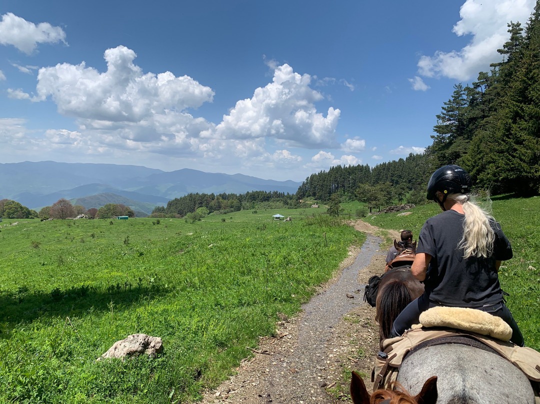 Horseriding Bulgaria - Day Tours-索非亚必去景点