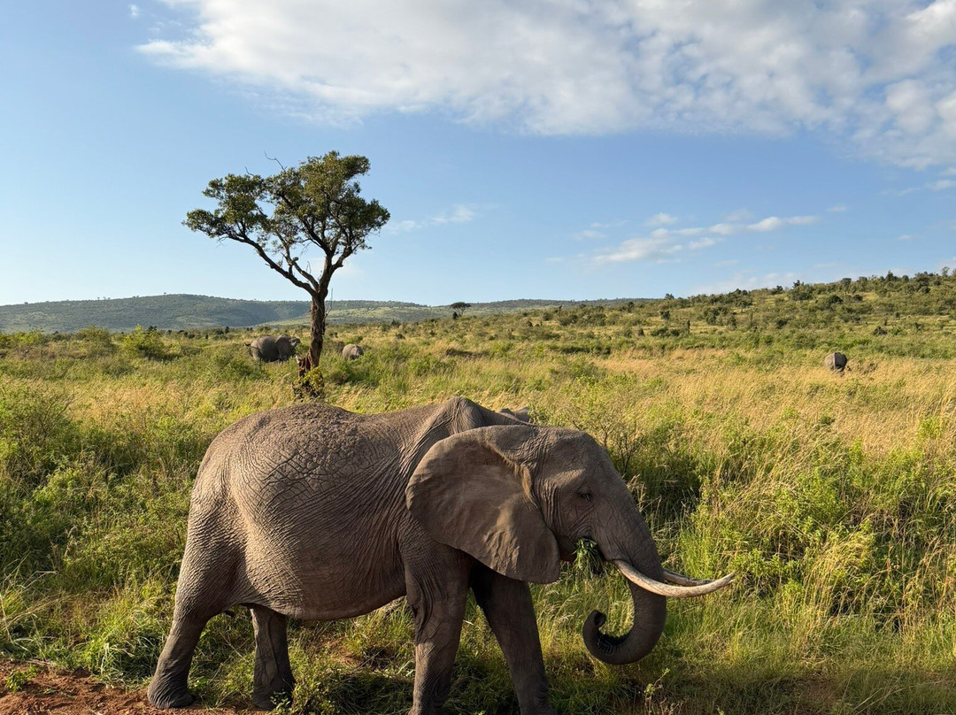 African Kismat Expeditions-Ruiru必去景点