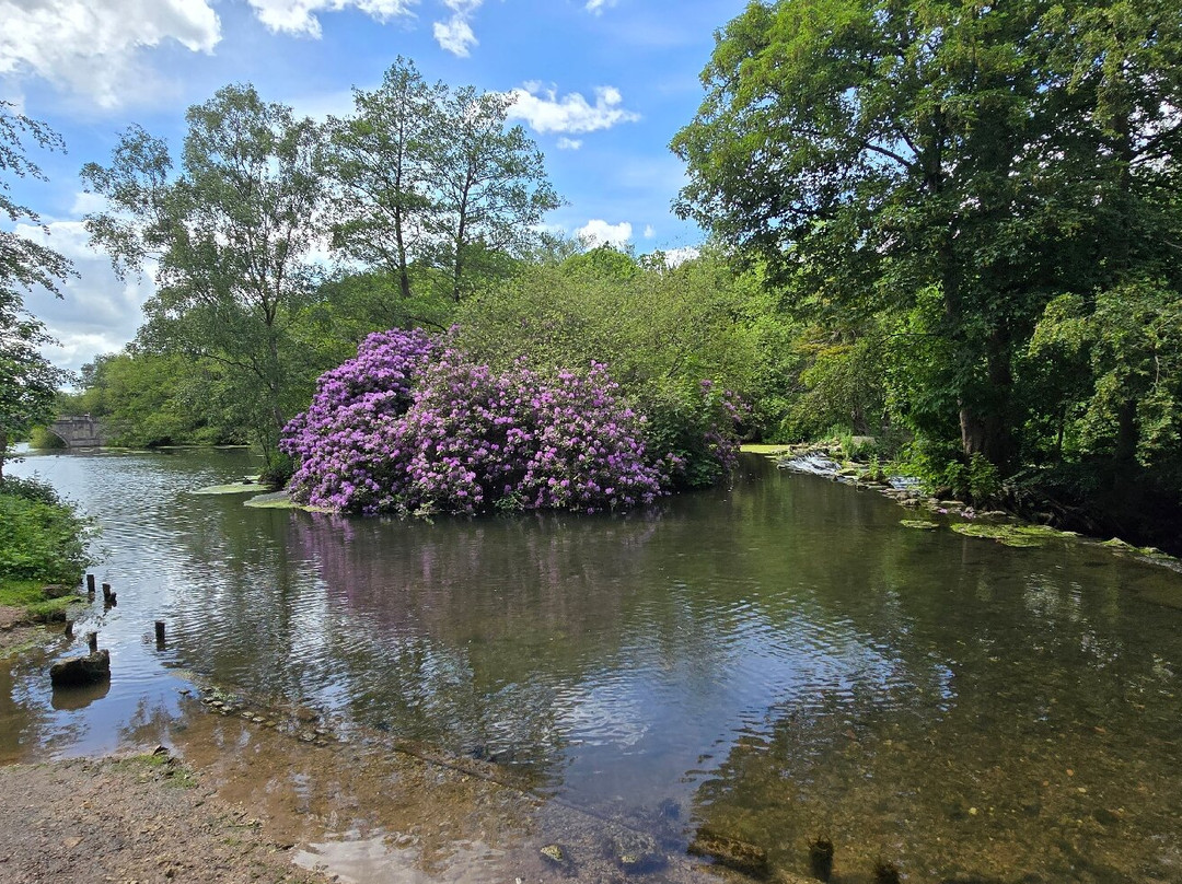Clumber Park-沃克索普必去景点