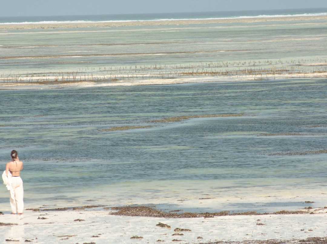 Pwani Mchangani Beach-Pwani Mchangani必去景点