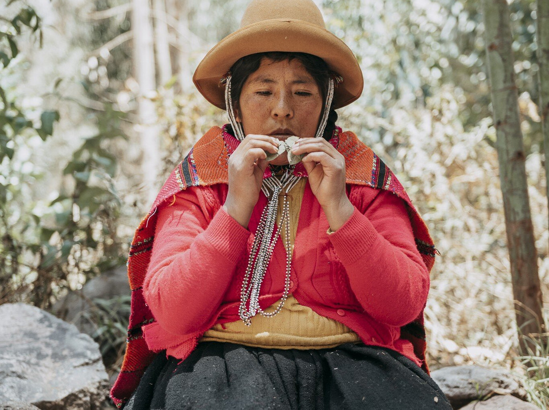 Etnikas Ayahuasca Retreats-库斯科必去景点