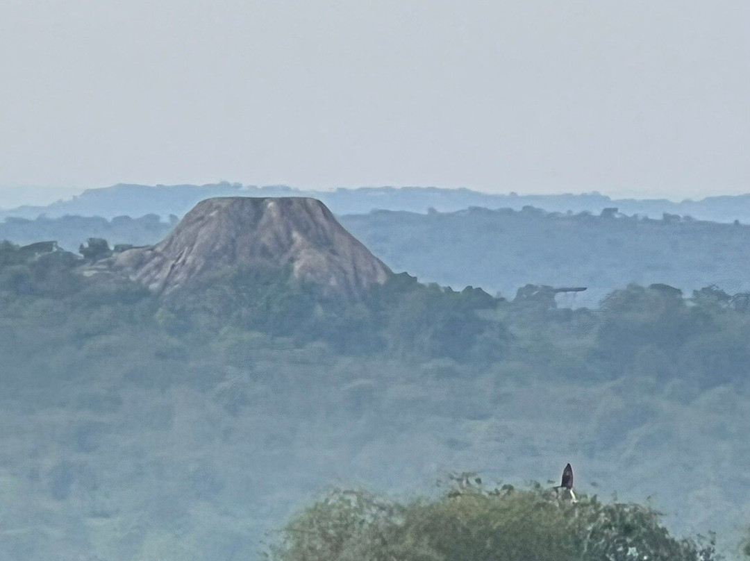 Chigo Tours Africa-坎帕拉必去景点