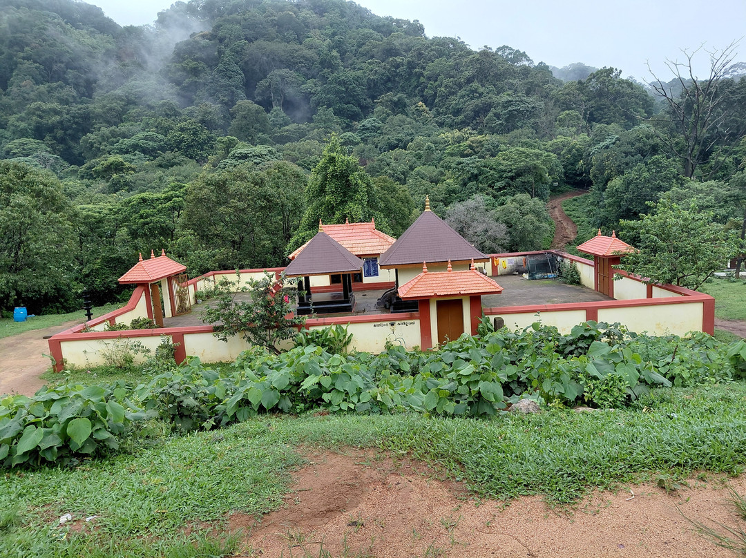 Kerala Holidays-柯钦必去景点