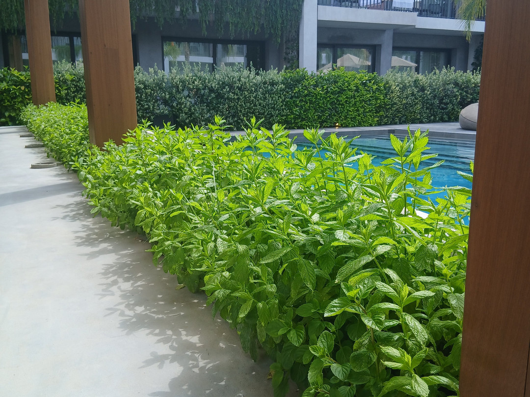康缇希纳 SPA 套房酒店主图