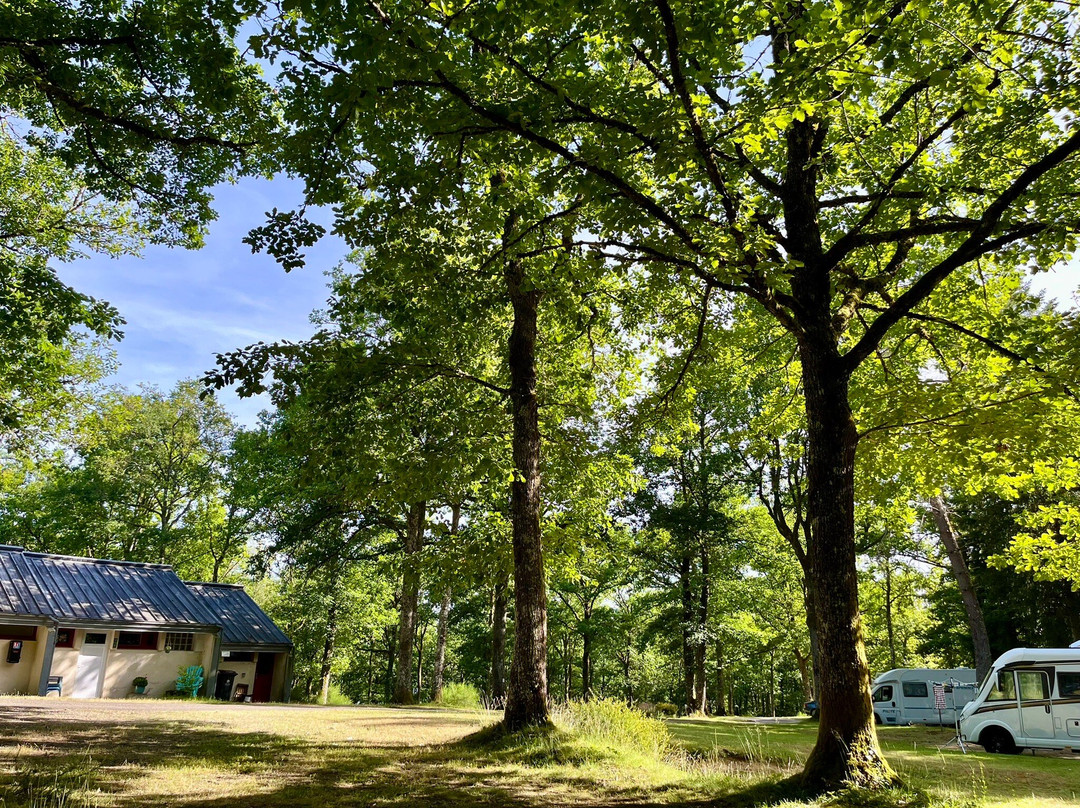 Camping Montard