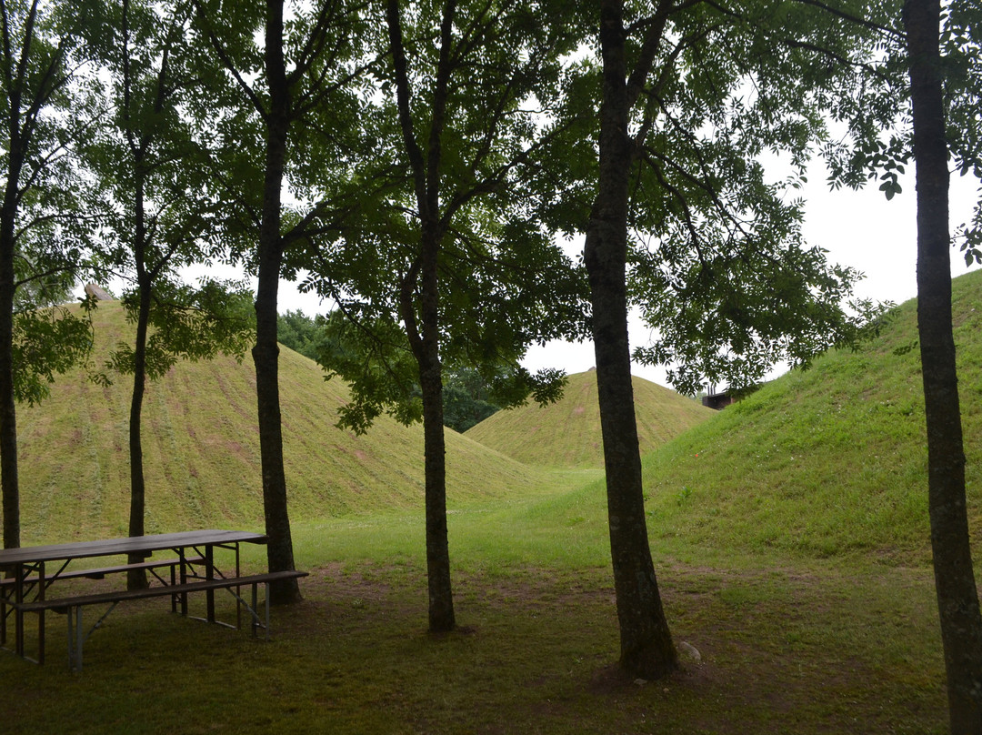 Bliesbrück-Reinheim Parc Archéologique Européen-Bliesbruck必去景点