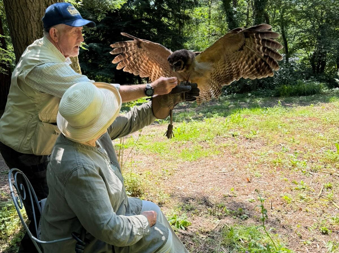 The Falconry Experience-纽波特必去景点