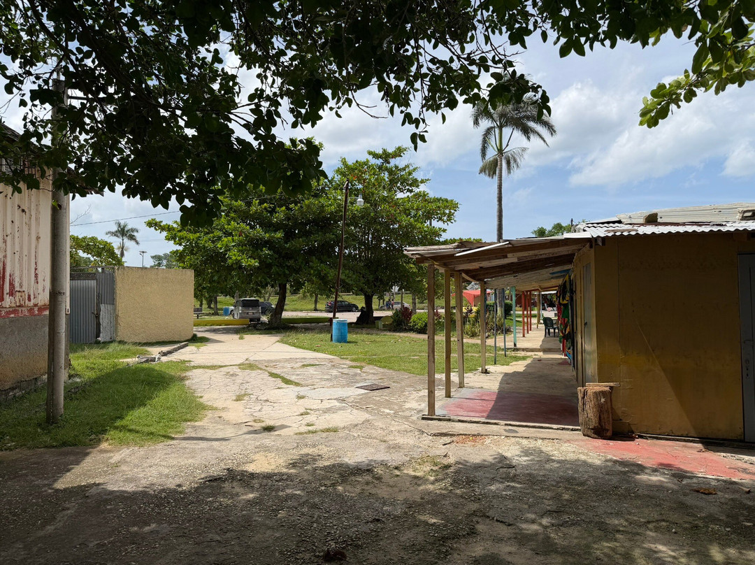 Negril Craft Market-内格里尔必去景点