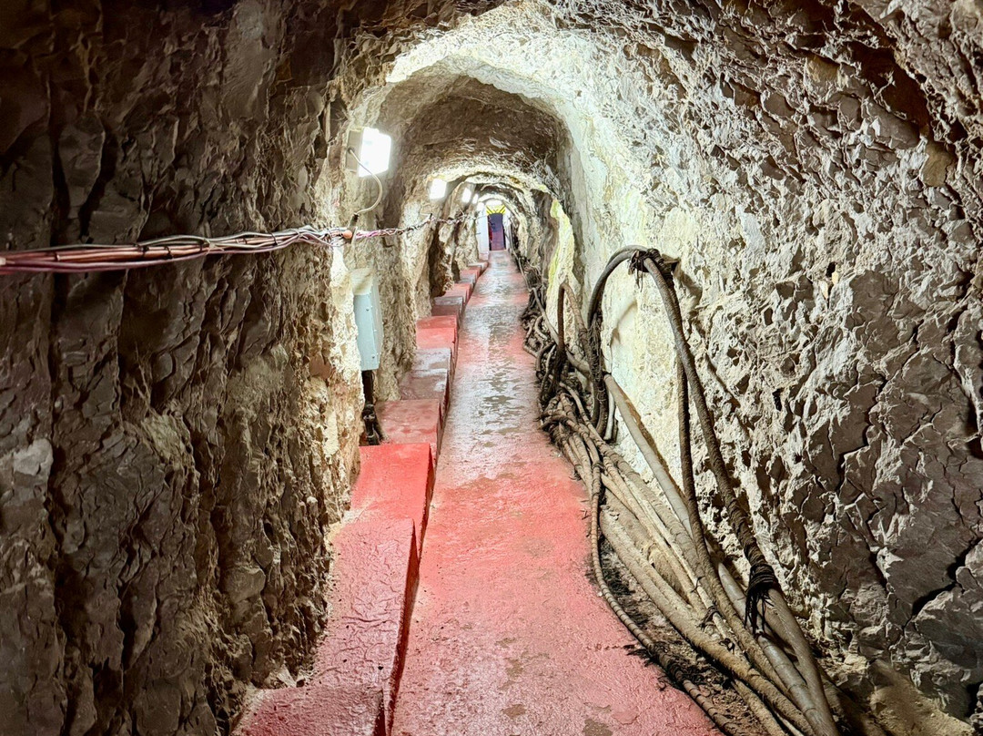 Gibraltar Upper Rock Nature Reserve-直布罗陀必去景点