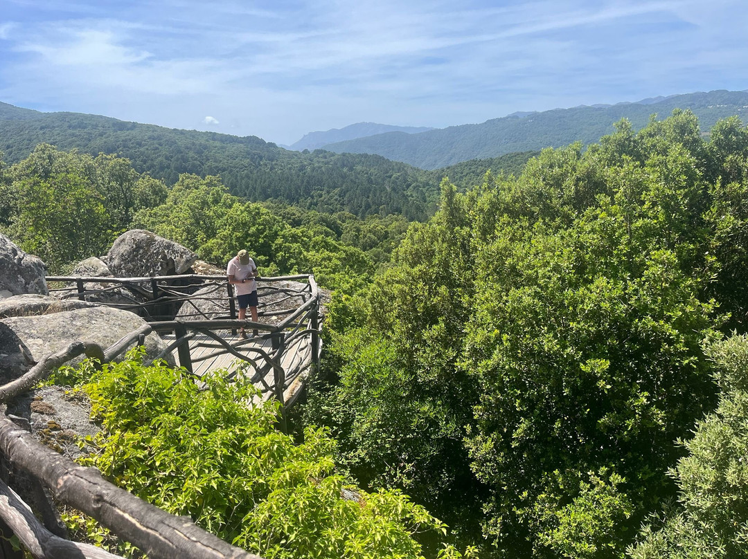 Site archéologique de Cucuruzzu-Levie必去景点