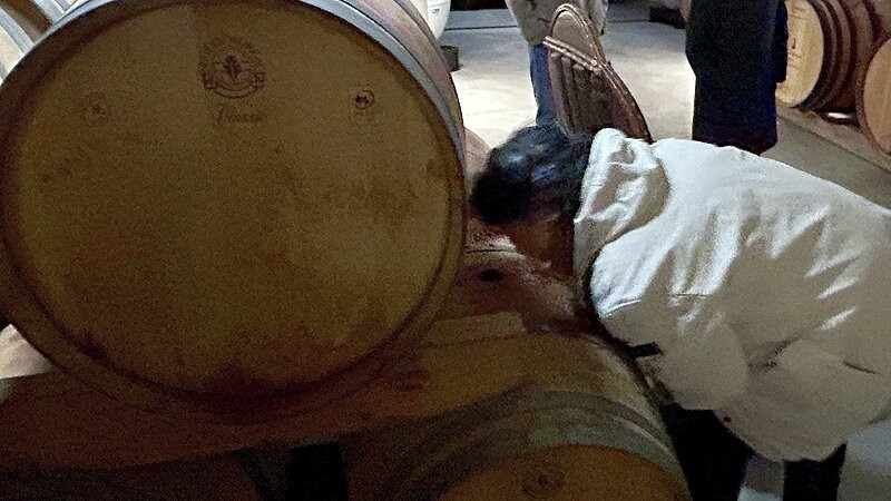 蒙提尼亚克皮耶尔城堡酒店主图