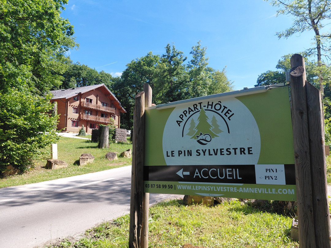 Le Pin Sylvestre主图
