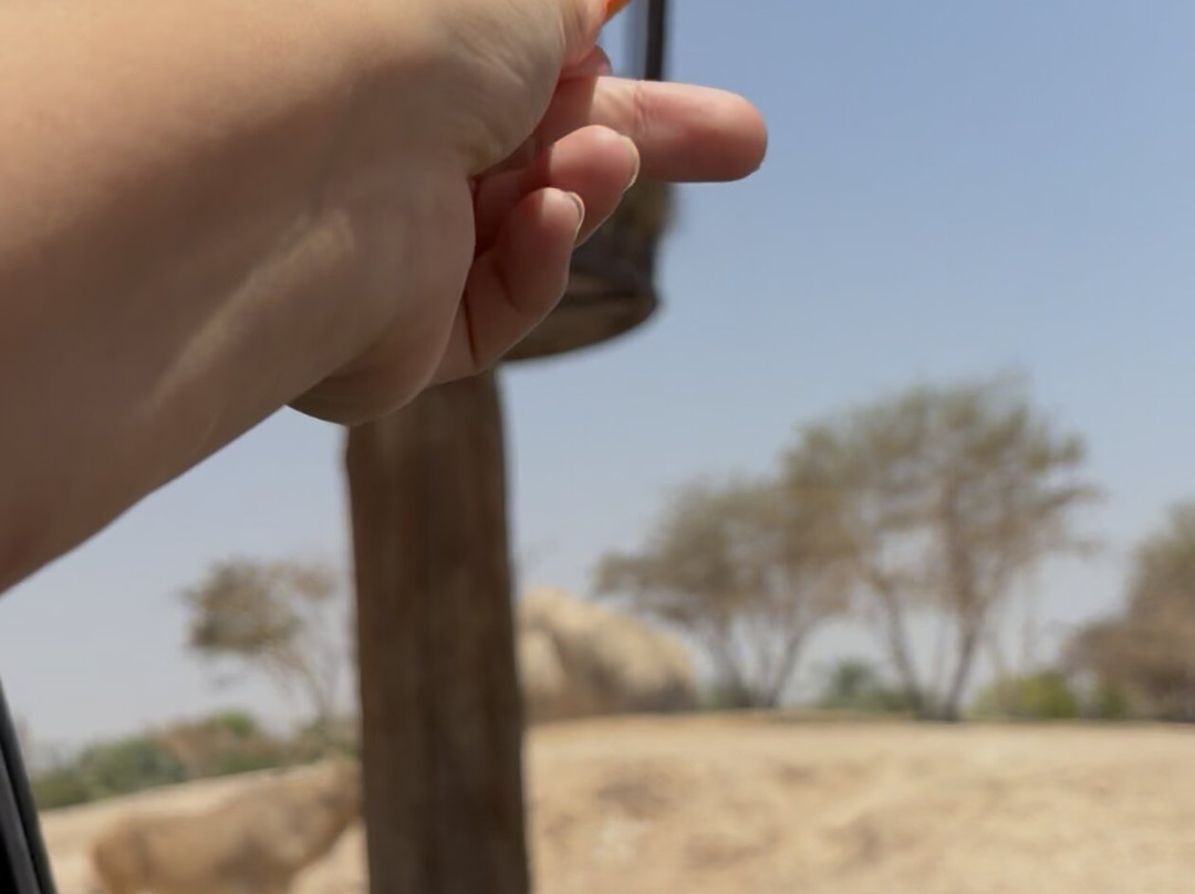 Al Ain Zoo 2017 2018 2019-艾因市必去景点