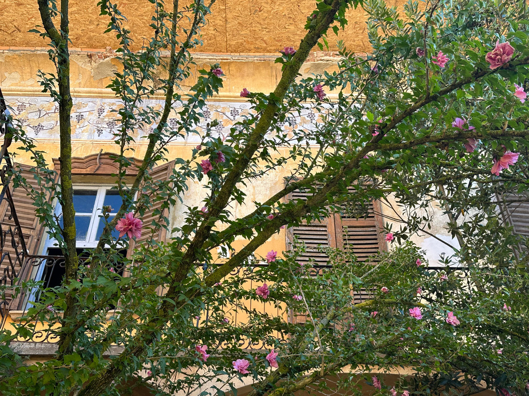 Palazzo Mandrilli Gallery