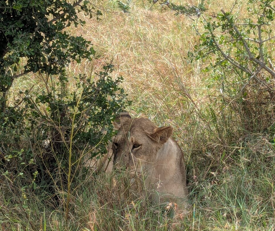 BADGER ADVENTURES TOURS & SAFARI-Arusha Chini必去景点