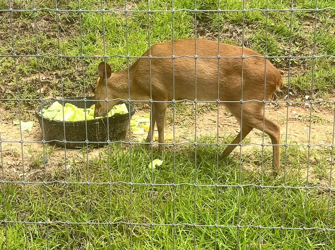 Alabama Gulf Coast Zoo-格尔夫海岸必去景点