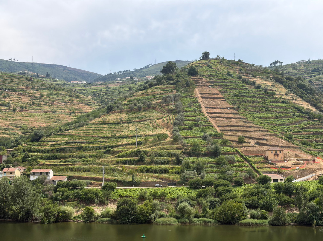 Quinta do Bomfim-Pinhao必去景点