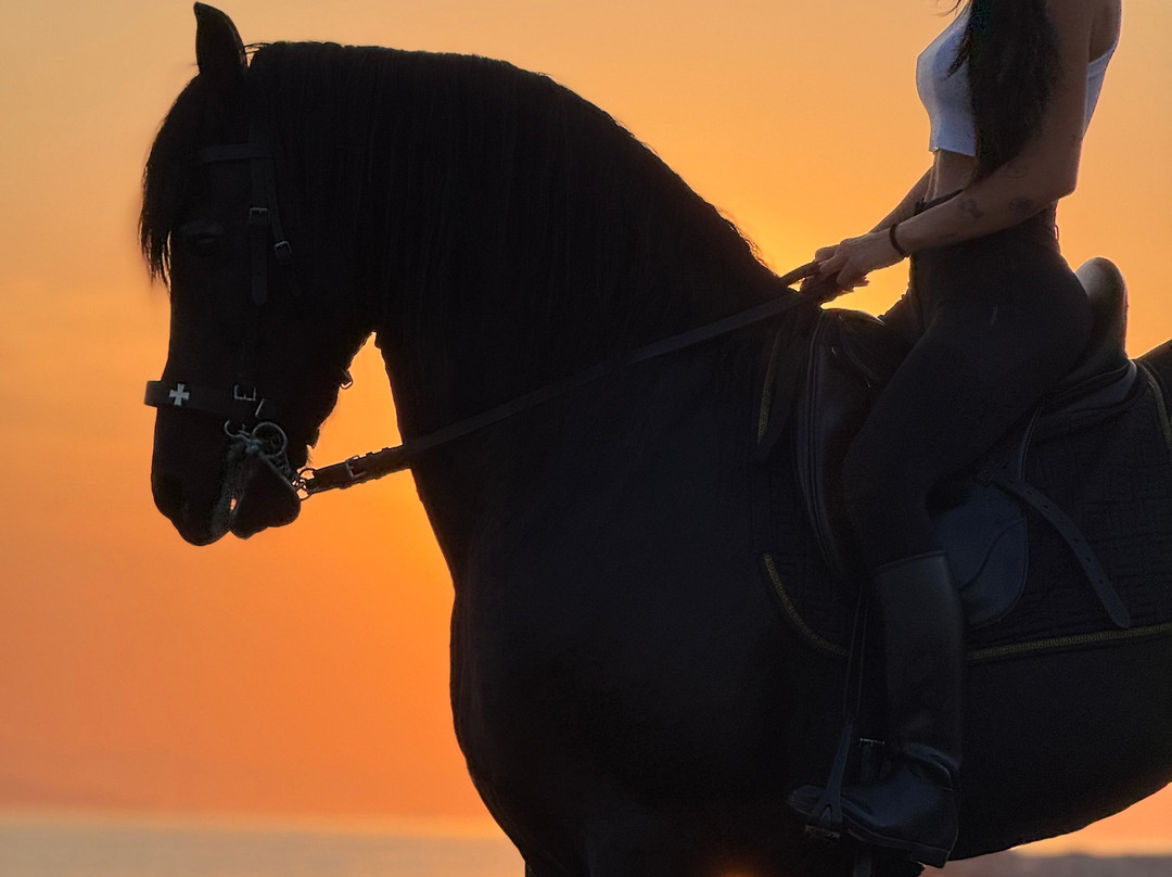 Erika's Horse Farm Kos-Marmari必去景点