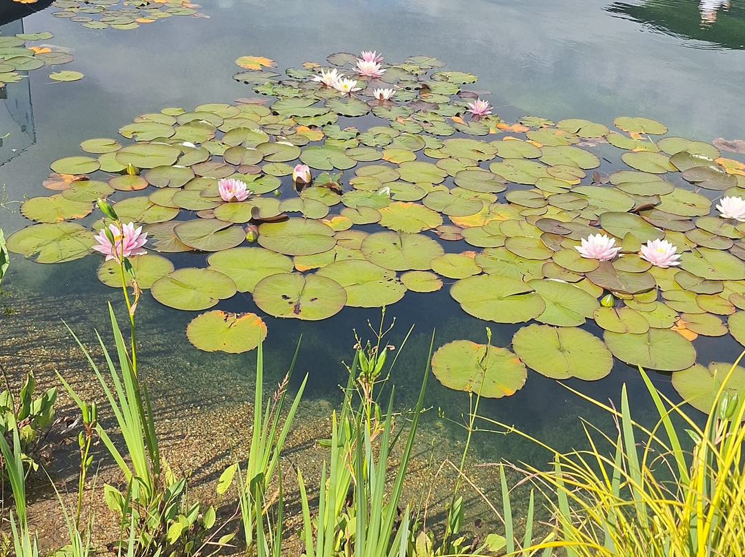 Yorkshire Spa Retreat主图