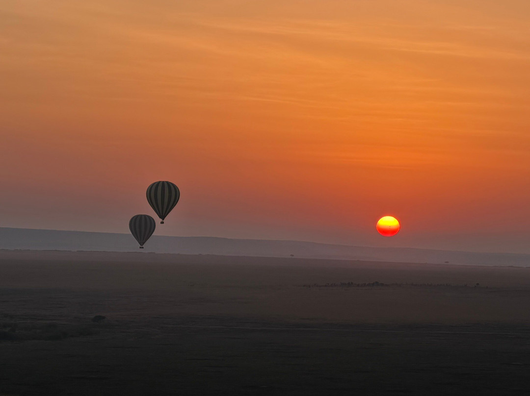 Hot Air Safaris-马赛马拉国家野生动物保护区必去景点