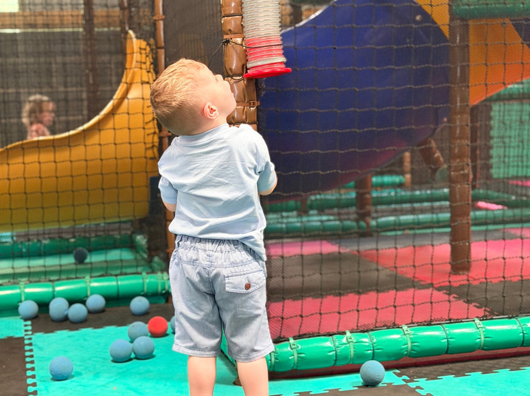 Children's Farm Park-Harlech必去景点