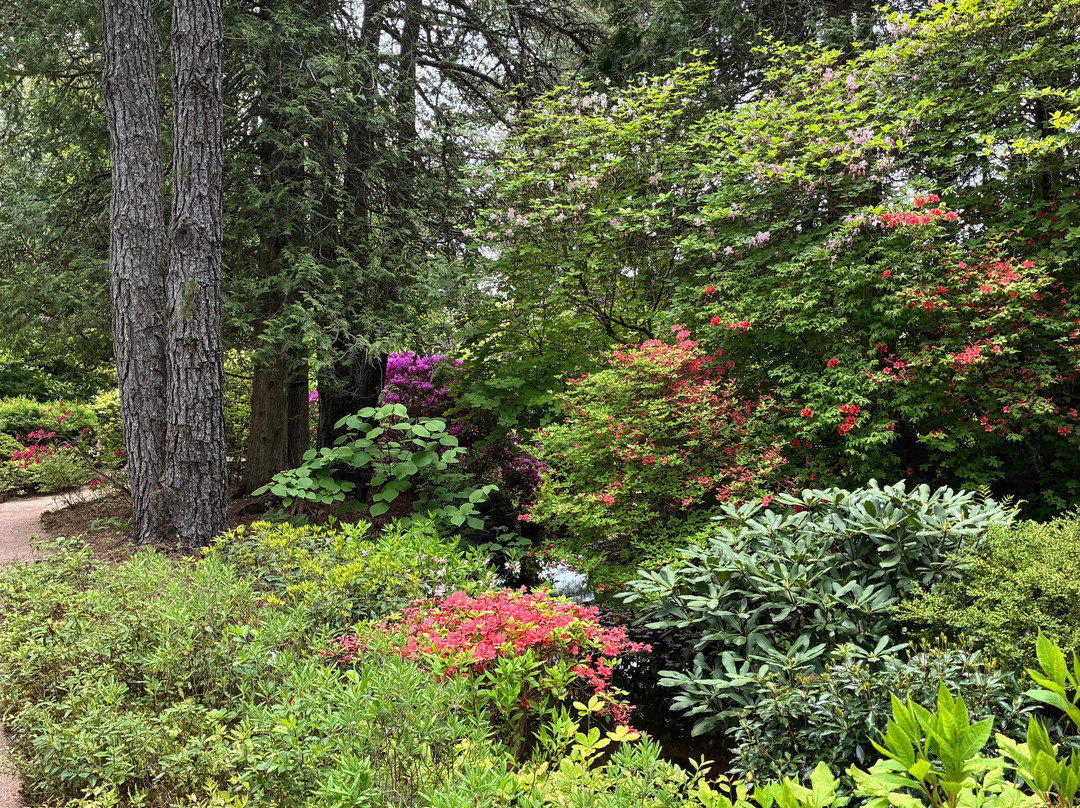 Asticou Azalea Garden-Northeast Harbor必去景点