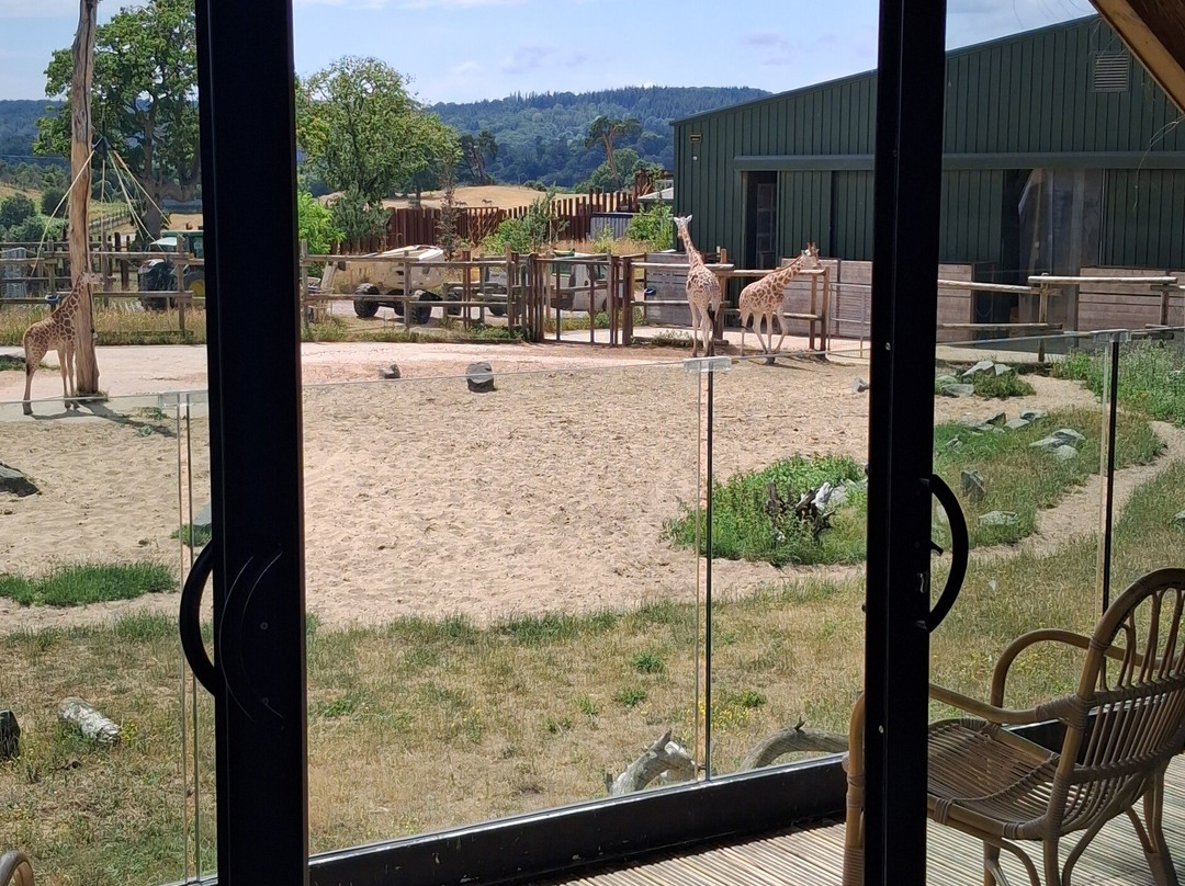 Safari Lodges At West Midlands Safari Park主图