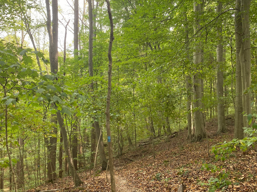Rockbridge State Nature Preserve-Rockbridge必去景点